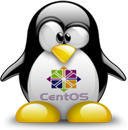 Penguin pingouin pinguino 919